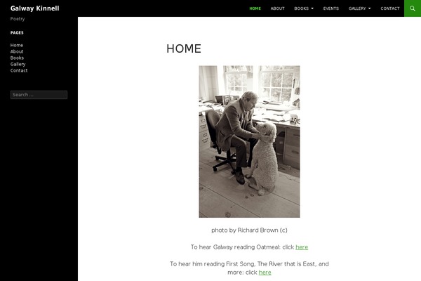 Twenty Fourteen theme site design template sample