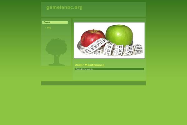 apples-10 WordPress theme, websites list used apples-10 theme apples-10 theme websites examples