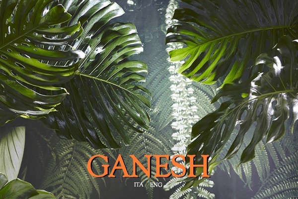 ganeshclothing.it site used Ganesh