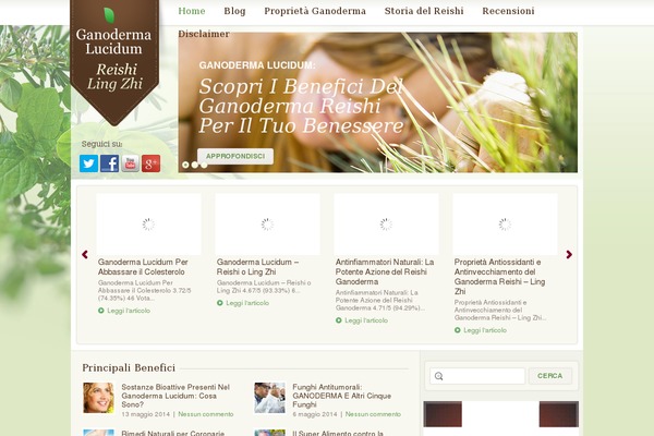 Theme1269 theme site design template sample