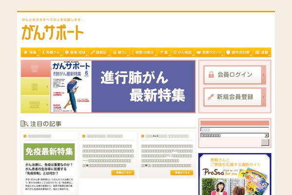 gansupport.jp site used Gsic
