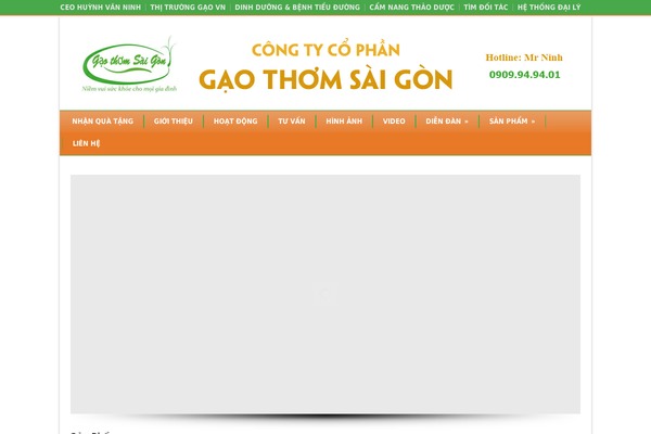 gaothomsaigon.com site used Modernize V3.00