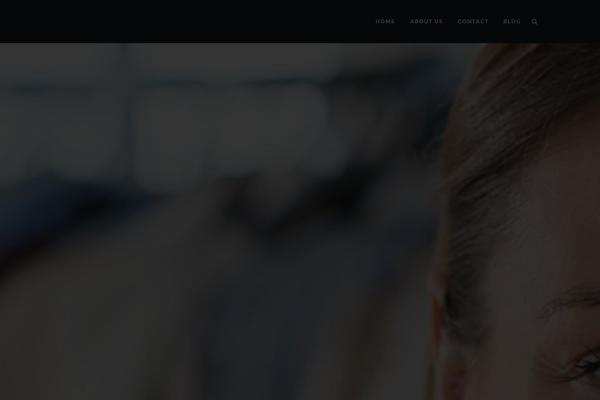 Bridge theme site design template sample
