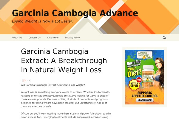 Twenty Thirteen theme site design template sample