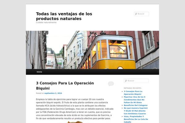 Twenty Eleven theme site design template sample