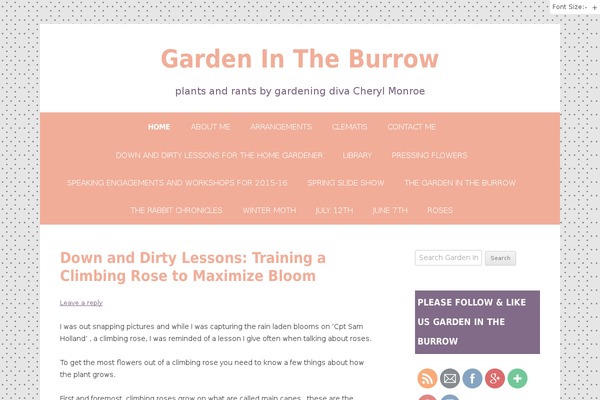 gardenintheburrow.com site used Purple Delight