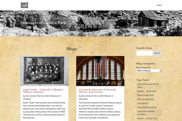 Divi theme site design template sample