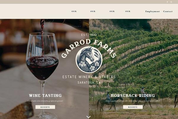 Enfold theme site design template sample