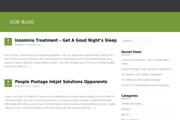 WordPress website example screenshot