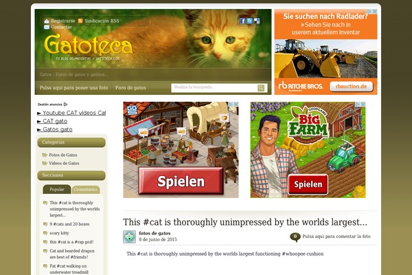 gatoteca.com site used Gatos