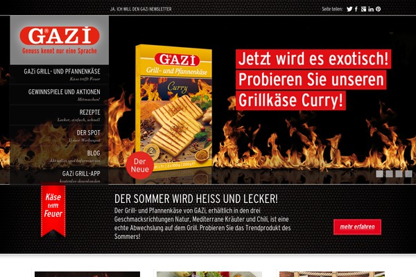 gazi-grillkaese.de site used Gazi_grill