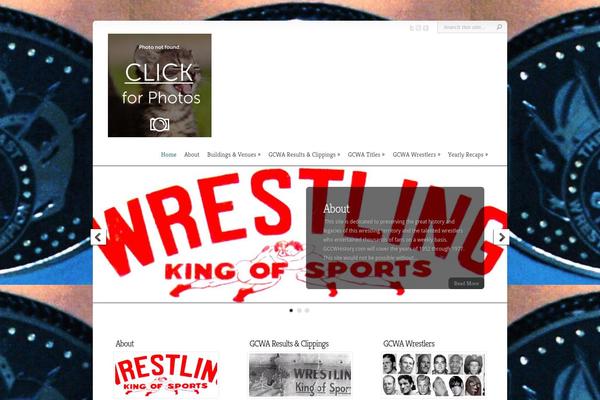 Chameleon theme site design template sample