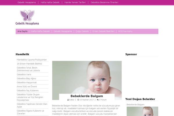 Site using Pgc-pregnancy-calculator plugin