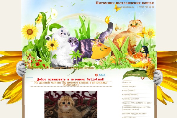 gelioland.ru site used Pd-wilddreams
