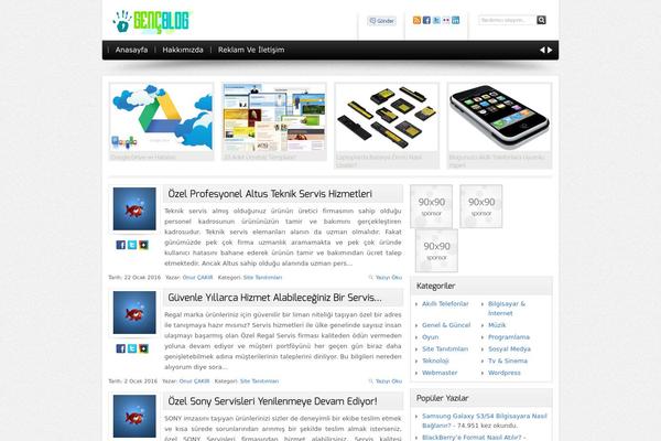 WordPress website example screenshot