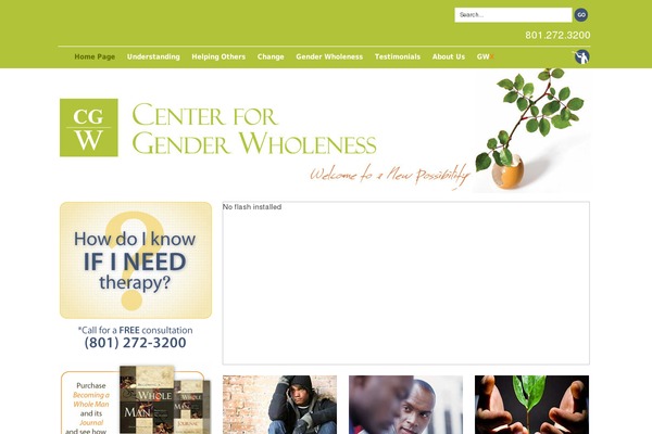genderwholeness.com site used Twenty Ten