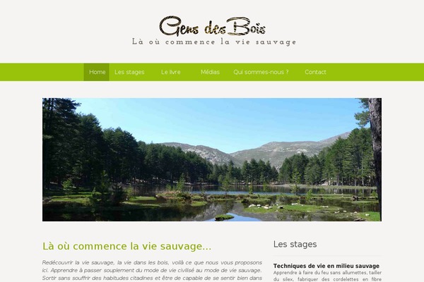 WordPress website example screenshot