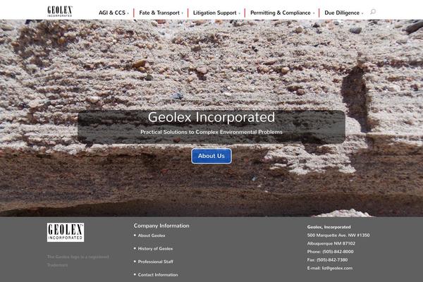 Divi theme site design template sample
