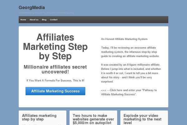 georgmedia.com site used Twenty Seventeen