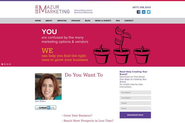 gerimazurmarketing.com site used Mazur