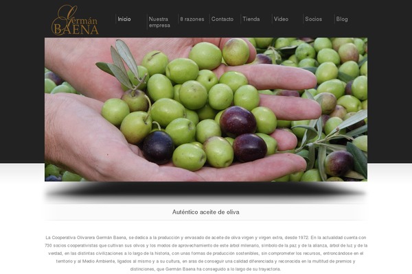 germanbaena.com site used Display_v1.4
