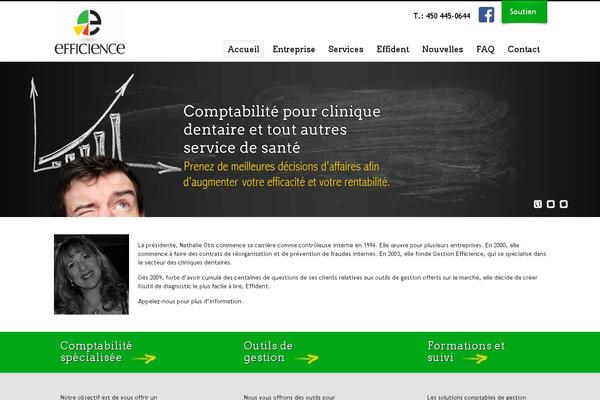 gestionefficience.com site used Efficience
