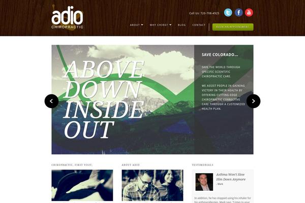 adio theme websites examples