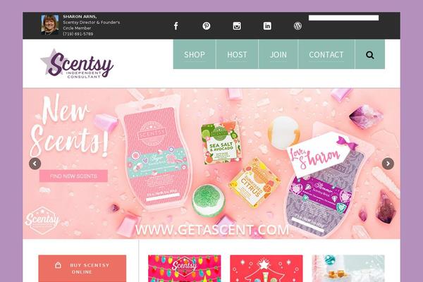 WordPress website example screenshot