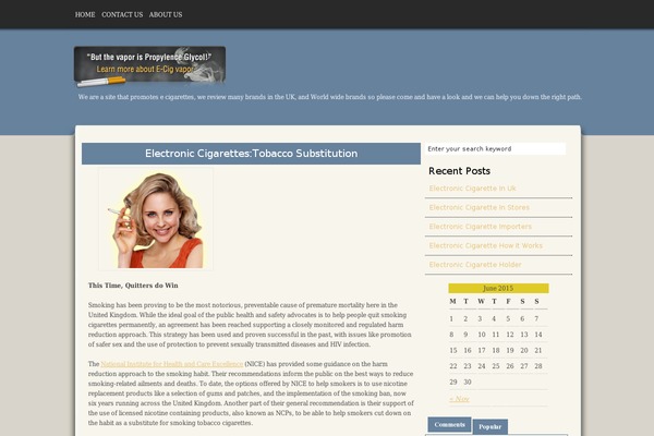 WordPress website example screenshot