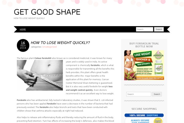 Adelle theme site design template sample
