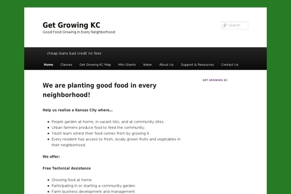 WordPress website example screenshot