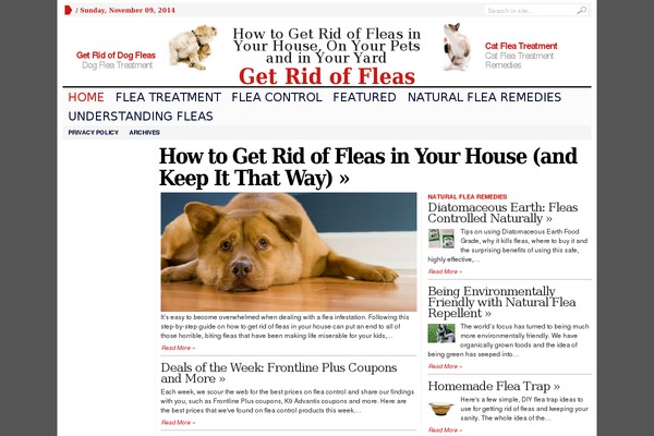 getridof-fleas.com site used Wpnewspaper15