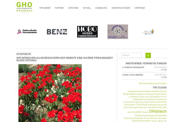 Site using Easy FancyBox plugin