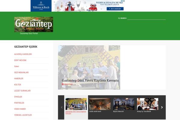 geziantep.com site used Tavisha