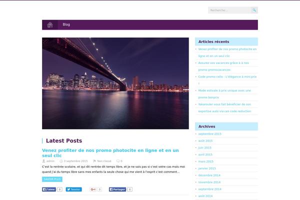 MidnightCity theme site design template sample