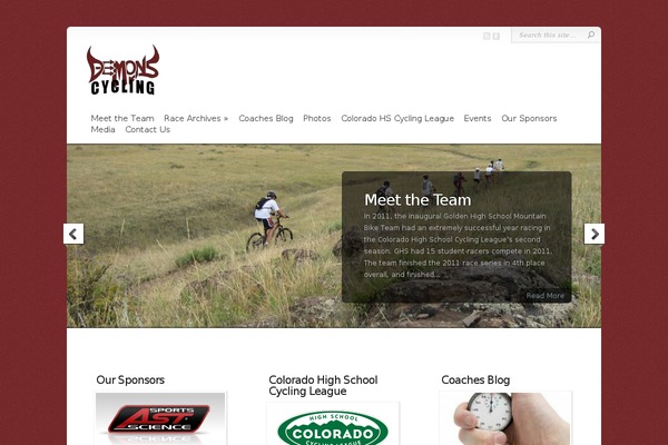 WordPress website example screenshot