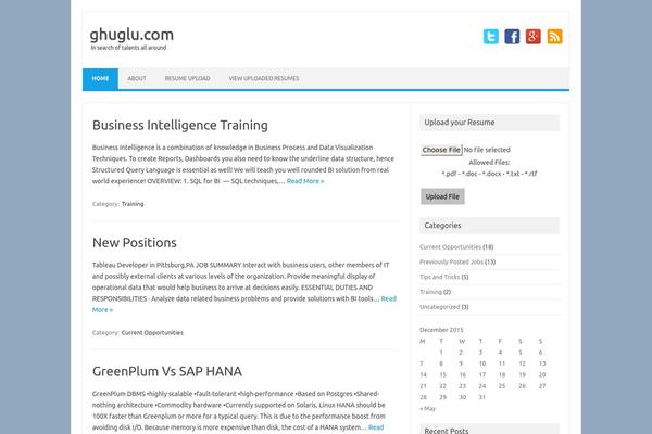 WordPress website example screenshot