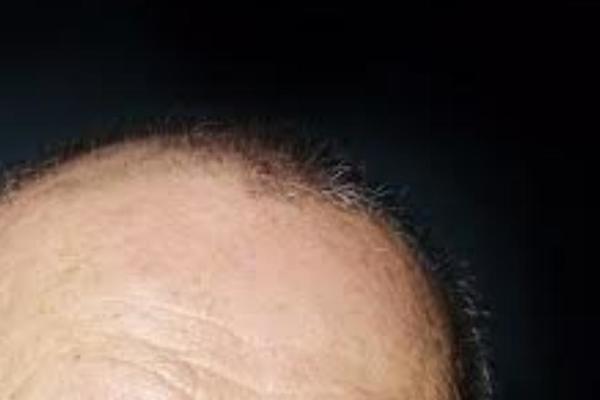 Avada Child Theme theme site design template sample