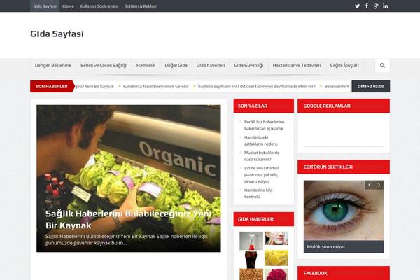 Sahifa theme site design template sample