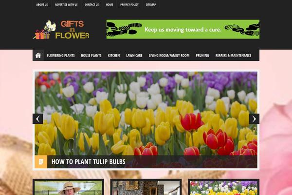 crissi theme websites examples