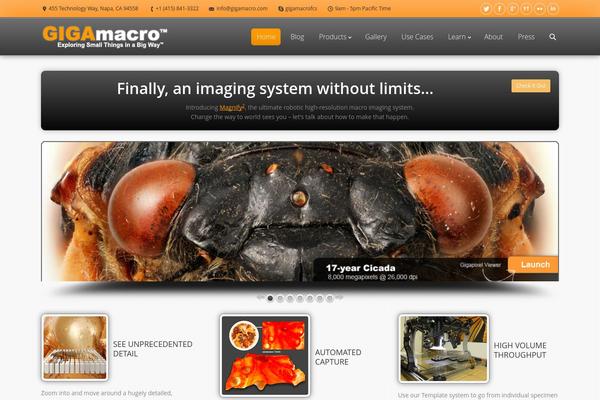 The7 theme site design template sample