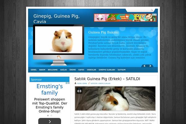 ginepig.com site used Evander