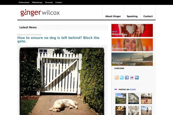 gingerwilcox.com site used Delicious Magazine