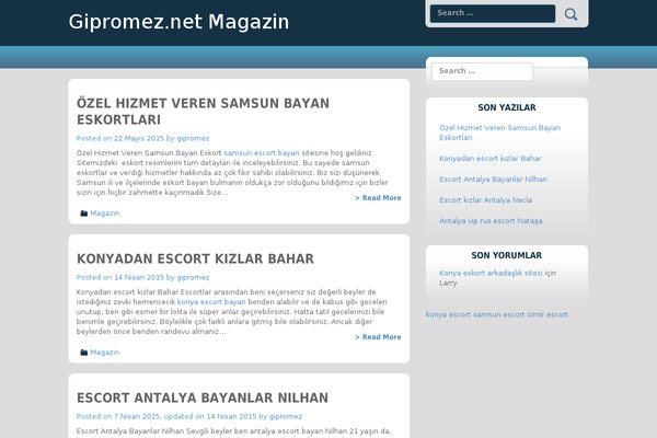 gipromez.net site used lithium