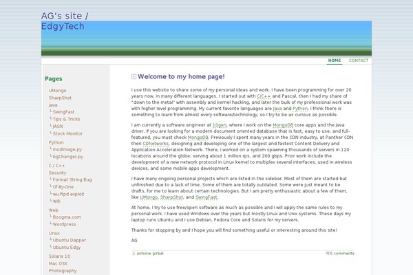 WordPress website example screenshot