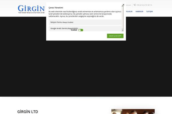 girgin-ltd.com site used Girginv2
