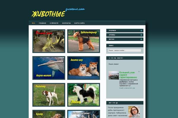 Kontur WordPress theme, websites list used Kontur theme Kontur theme websites examples