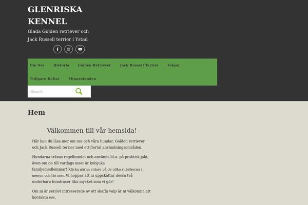 WordPress website example screenshot