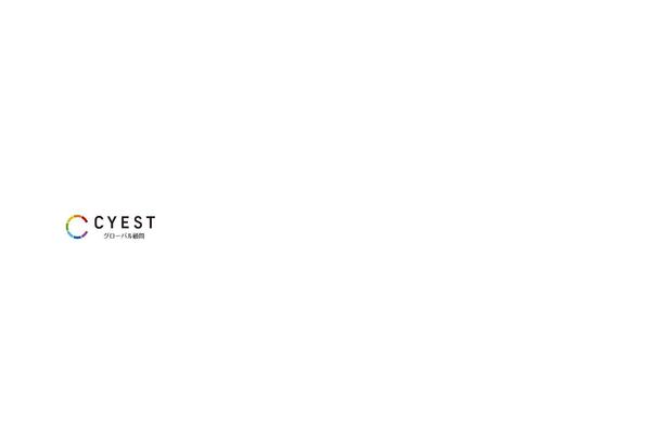 cyest theme websites examples