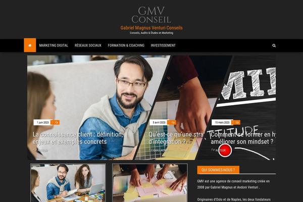 gmv-conseil.fr site used Envo Magazine Dark